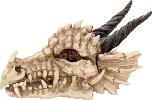 Nemesis Now Dragon Skull æske