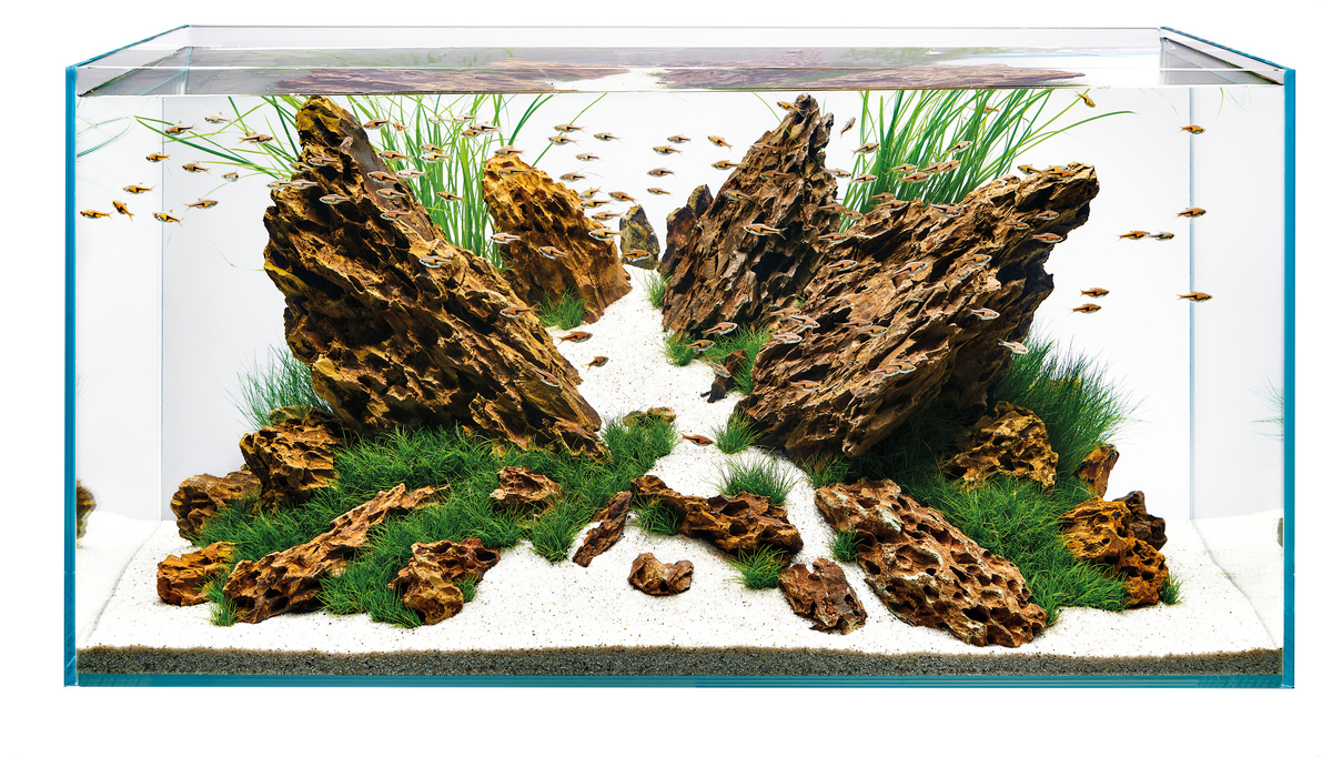 Oase ScaperLine 90 Aquarium | Aquascaping