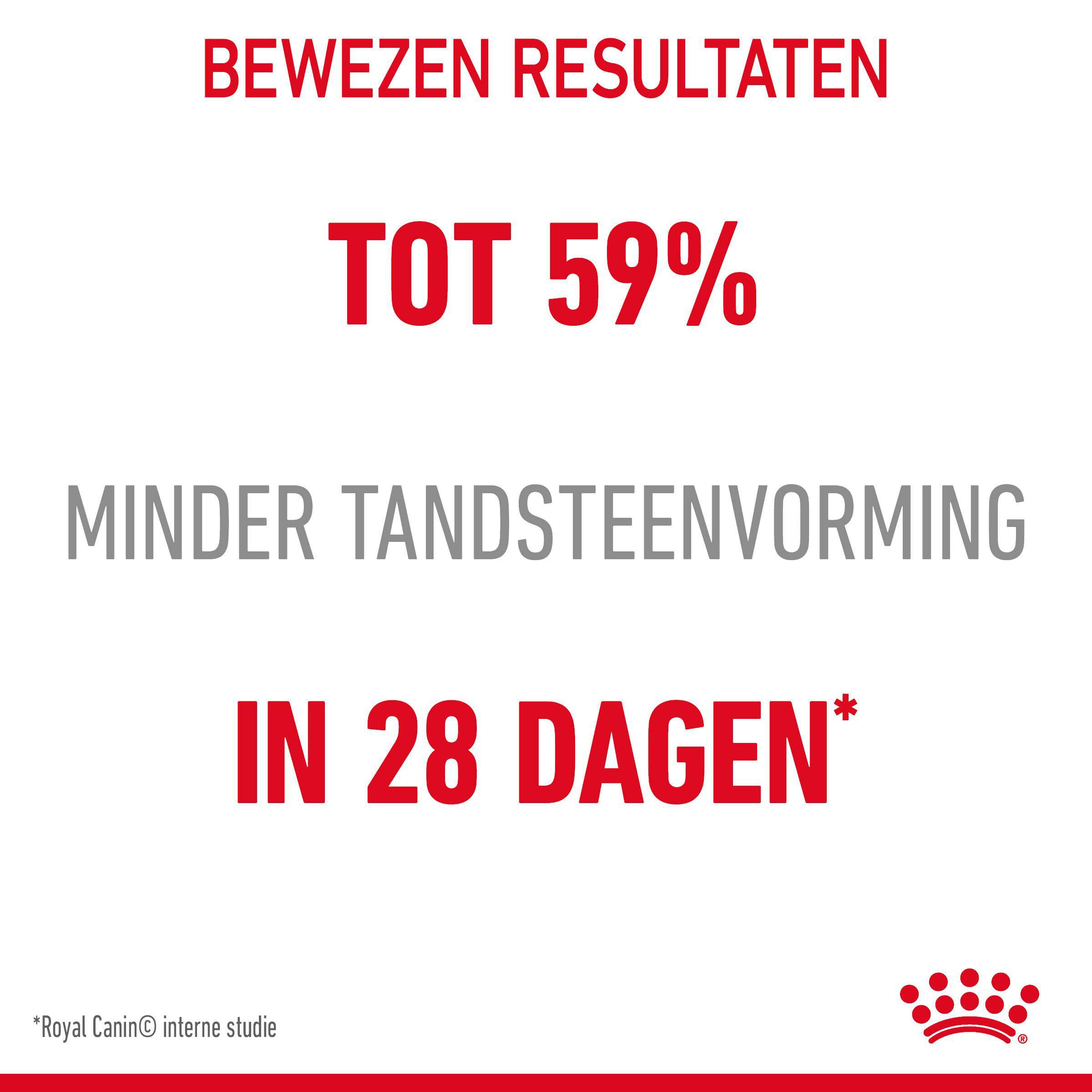 Royal Canin Dental Care - Kattenvoer - 8000 Gram - Gevogelte