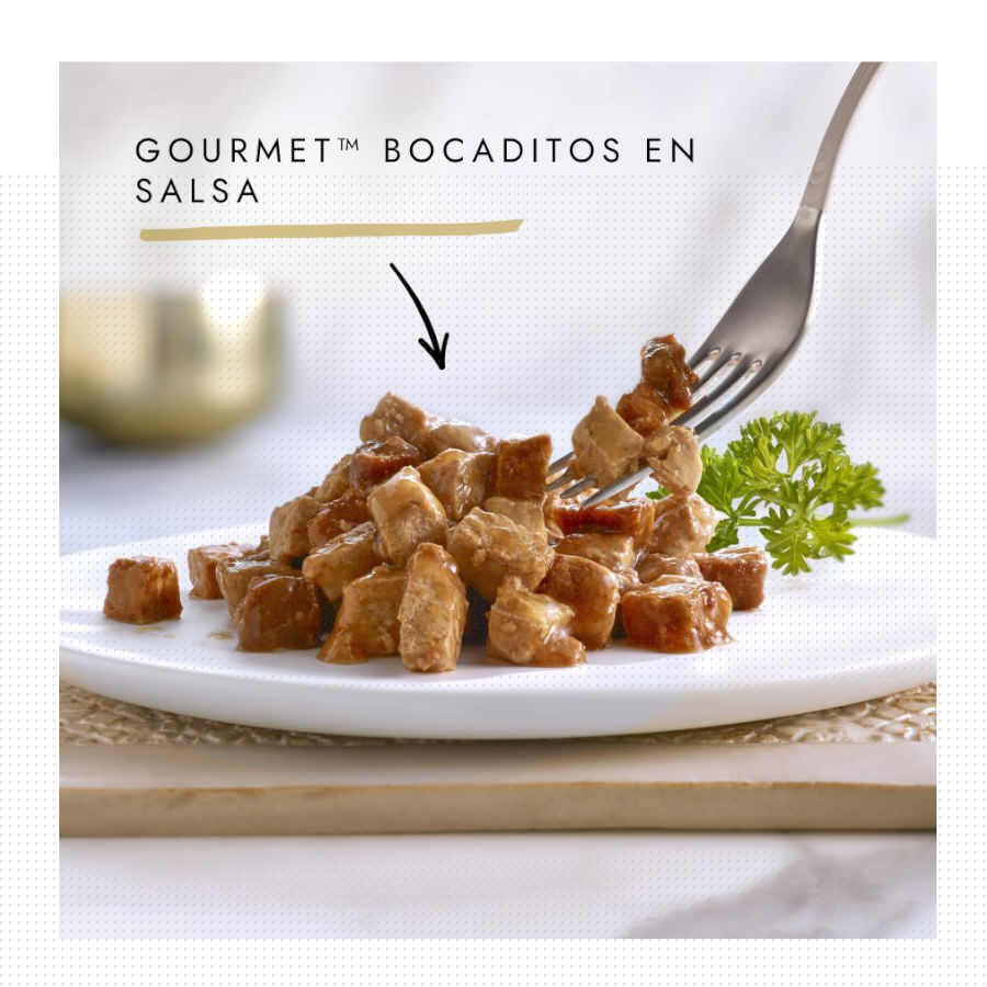 Petiscos gourmet de salmão e frango para gatos