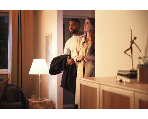 Philips hue lamp White & Color Ambiance starterset 2x E27/9W 1100 lm RGBW 2000-6500 K incl. bridge + dimmer switch + smart plug - compatibel met SMART HOME van hornbach