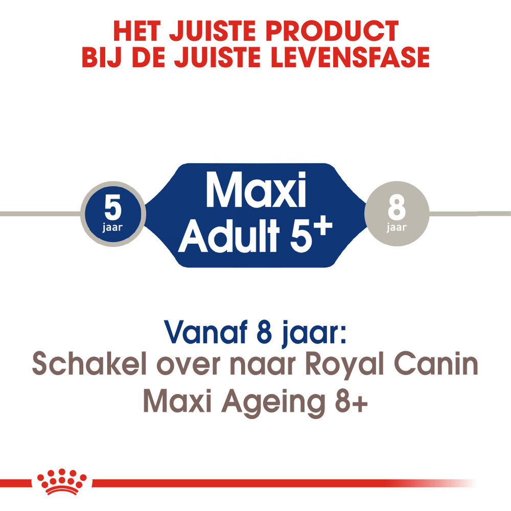 Royal Canin SHN Maxi Adult 5  - Hondenvoer - 4 Kilogram - gevogelte