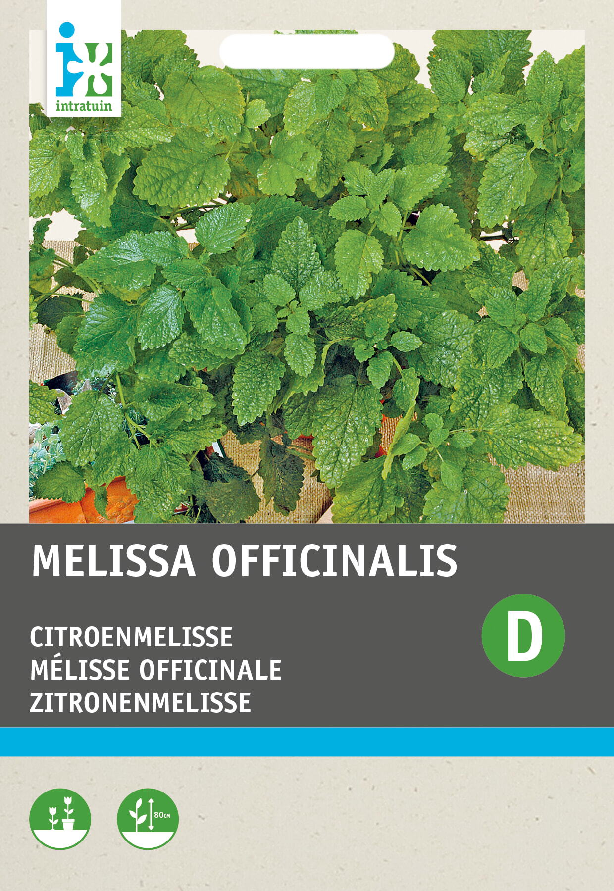 Intratuin kruidenzaad Citroenmelisse (Melissa officinalis)