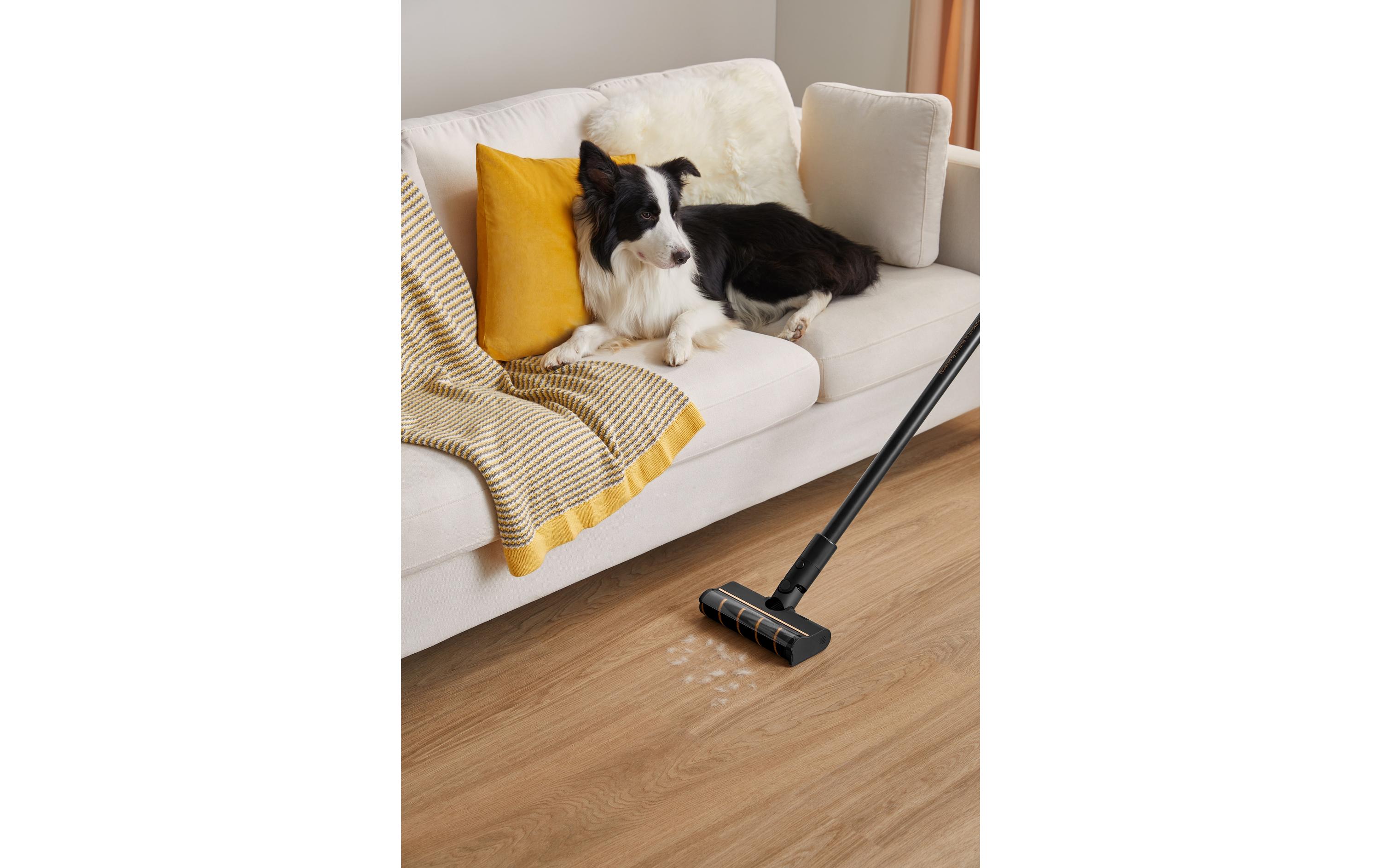 Akku-Hand- und Stielsauger R10 Pro Schwarz<br>Kabelloser Staubsauger