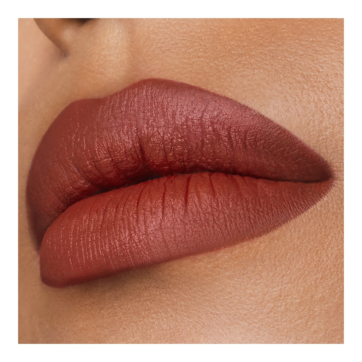 ESTEE LAUDER Pure Color Rouge à Lèvres Mat