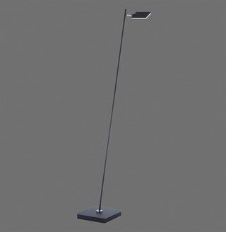 Paul Neuhaus LED Stehlampe PURE-MIRA schwarz
