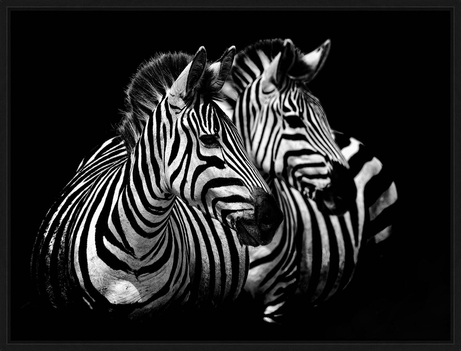 Twins by Claudio Gotsch - Limited Edition. Edition of: 150. Signed.