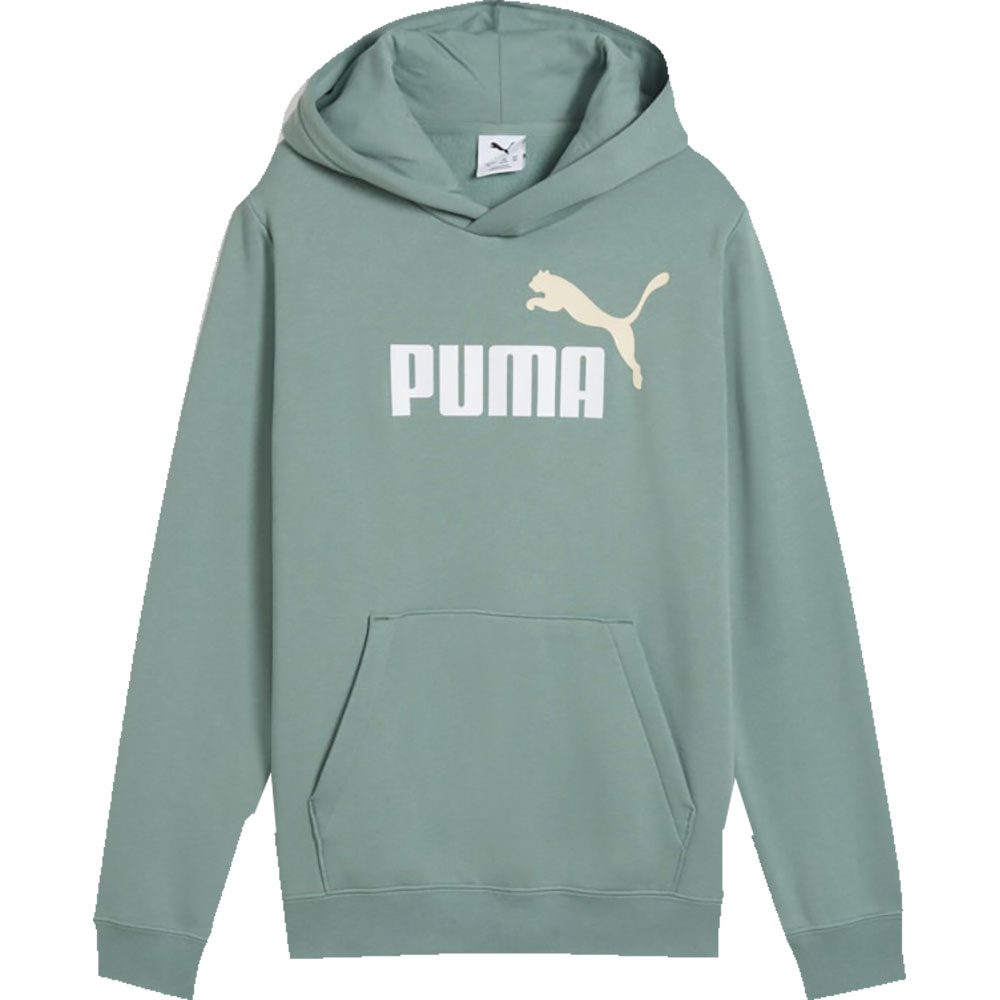 Puma ESS 2 Cololr No. 1 Logo Hoodie Kinder green moon