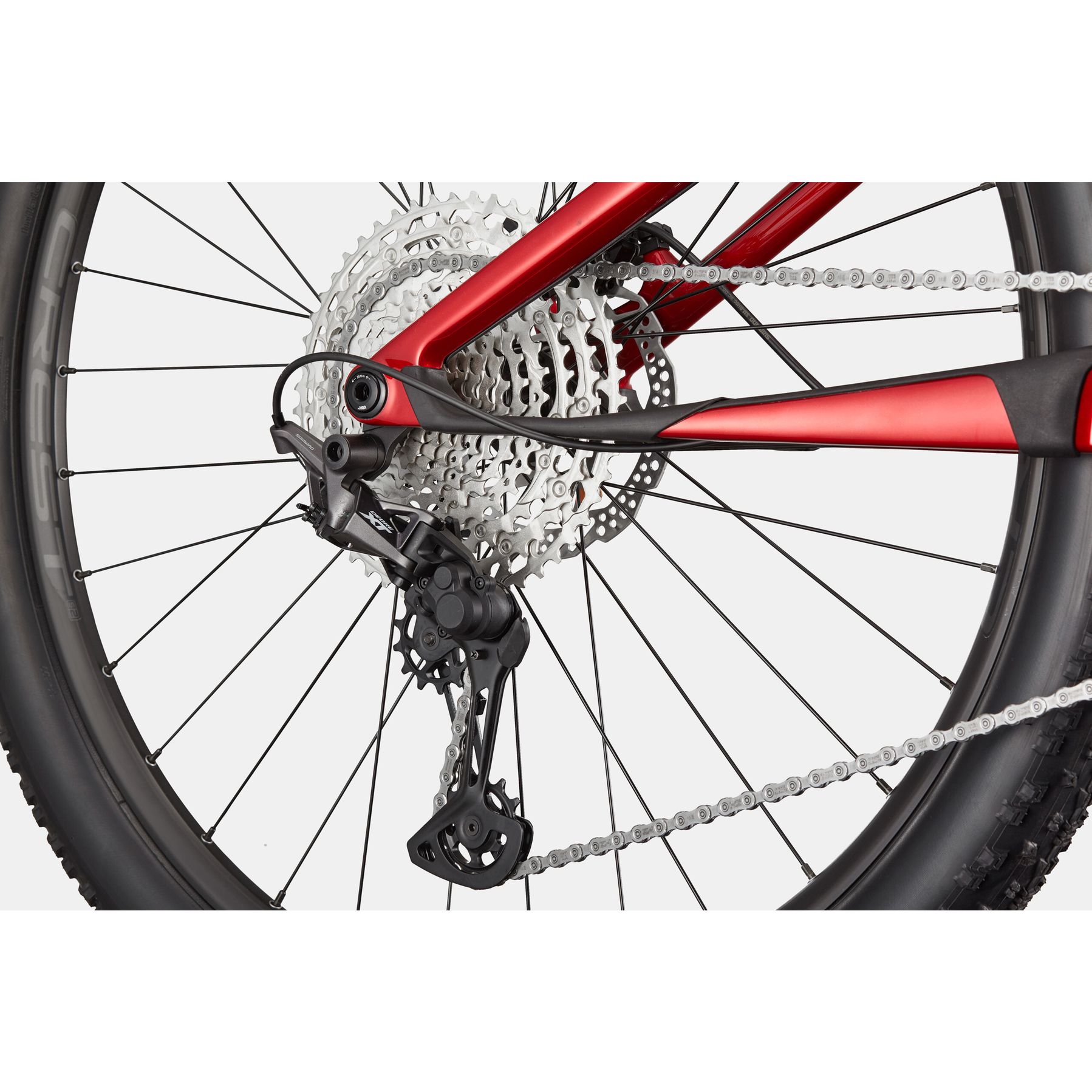 Cannondale Scalpel Carbon 4 2025