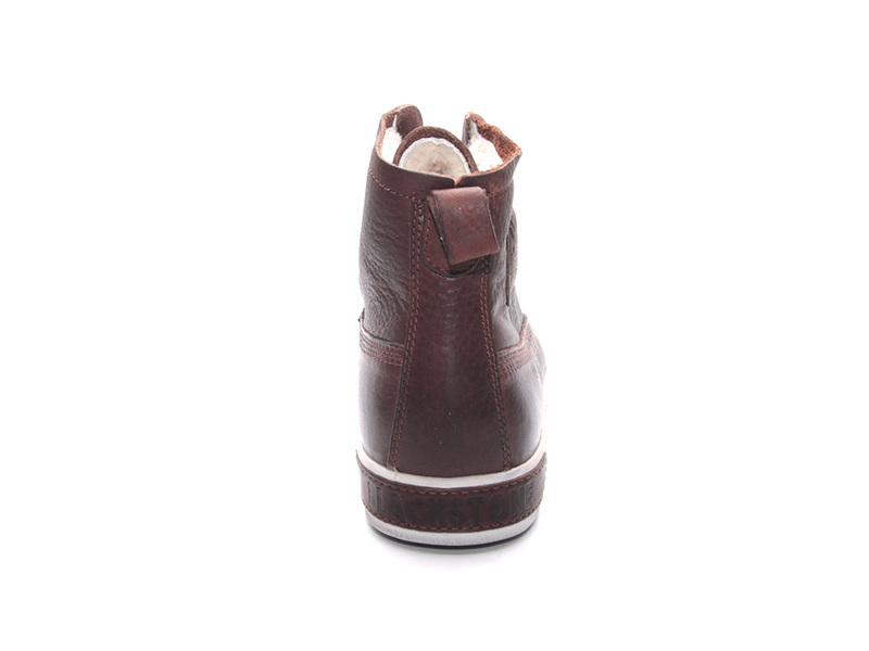 Blackstone GM06 Bruin