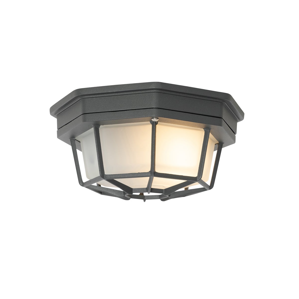 Landelijke plafondlamp, donkergrijs, IP44 - Bri S