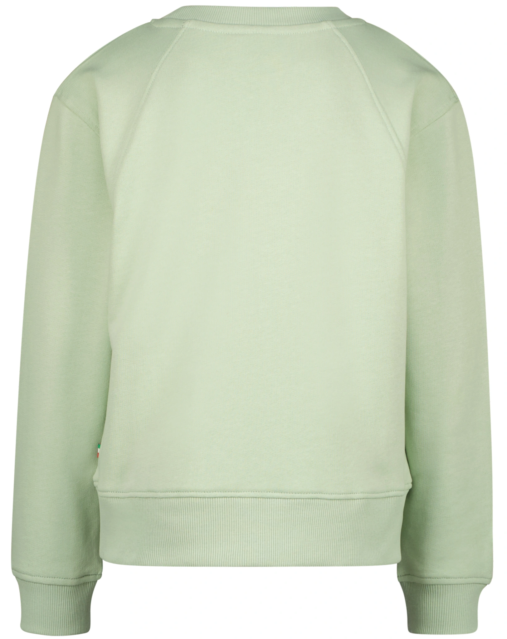 Sweatshirt G-BASIC in shade green