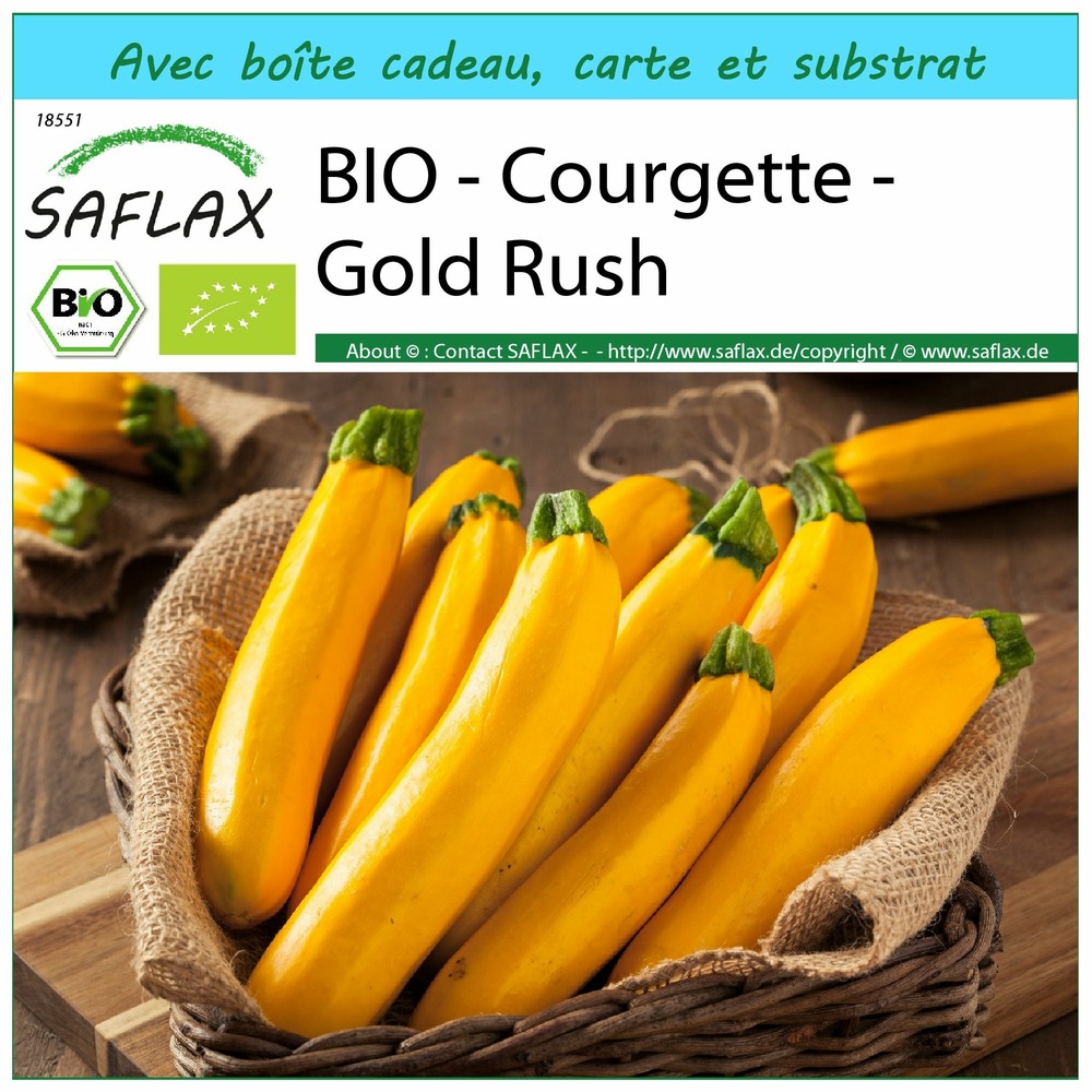 Kit cadeau - bio - courgette - gold rush - 5 graines - cucurbita pepo var. Cylindrica