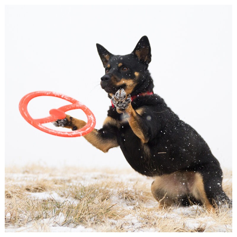 Brinquedo interativo para cães BIONIC Toss-N-Tug Ring, 22,7 cm