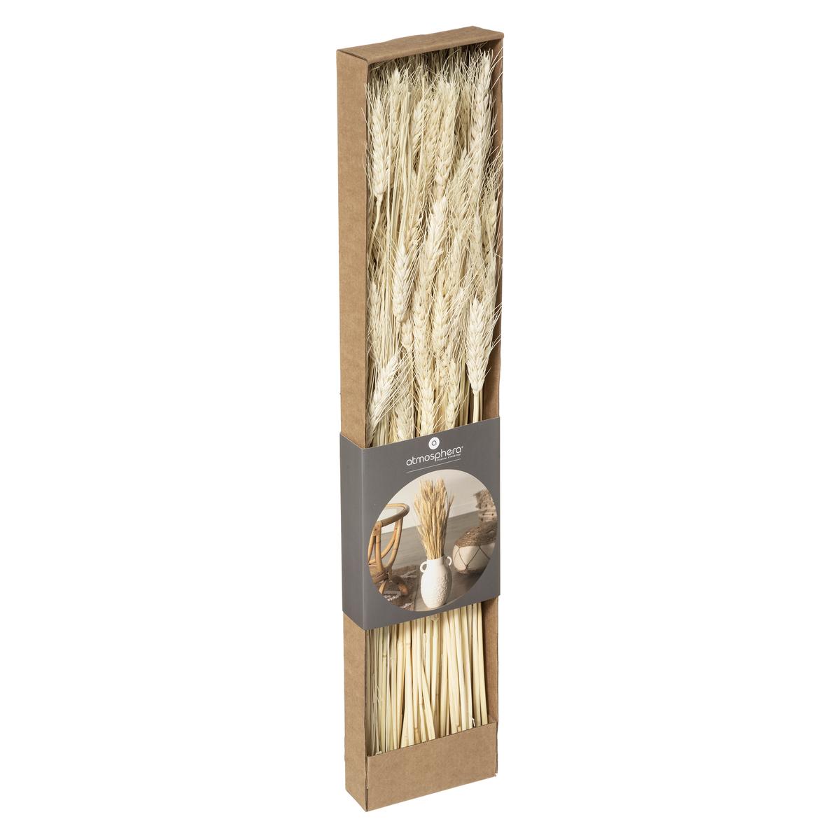 BOUQUET SECHE NATUREL KRAFT H.60CM