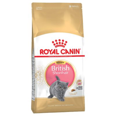 Royal Canin Feline British Shorthair Kitten