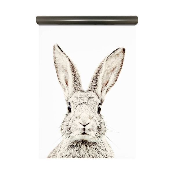 Groovy Magnets Konijn Magneetbehang – 62 x 265 cm