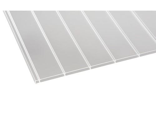 Gutta Acryl Holle Kamerplaat/Dubbelwandige Plaat Panorama 96-16 helder 3500 mm x 980 mm x 16 mm