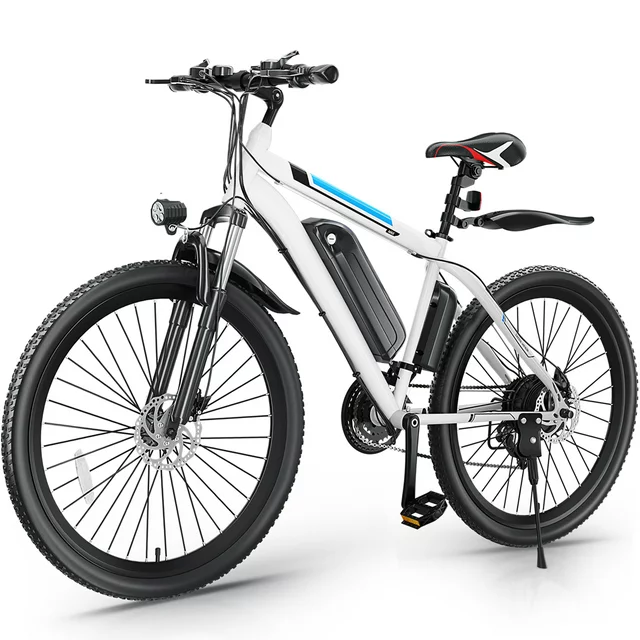 Gocio 500W Electric Bike 26