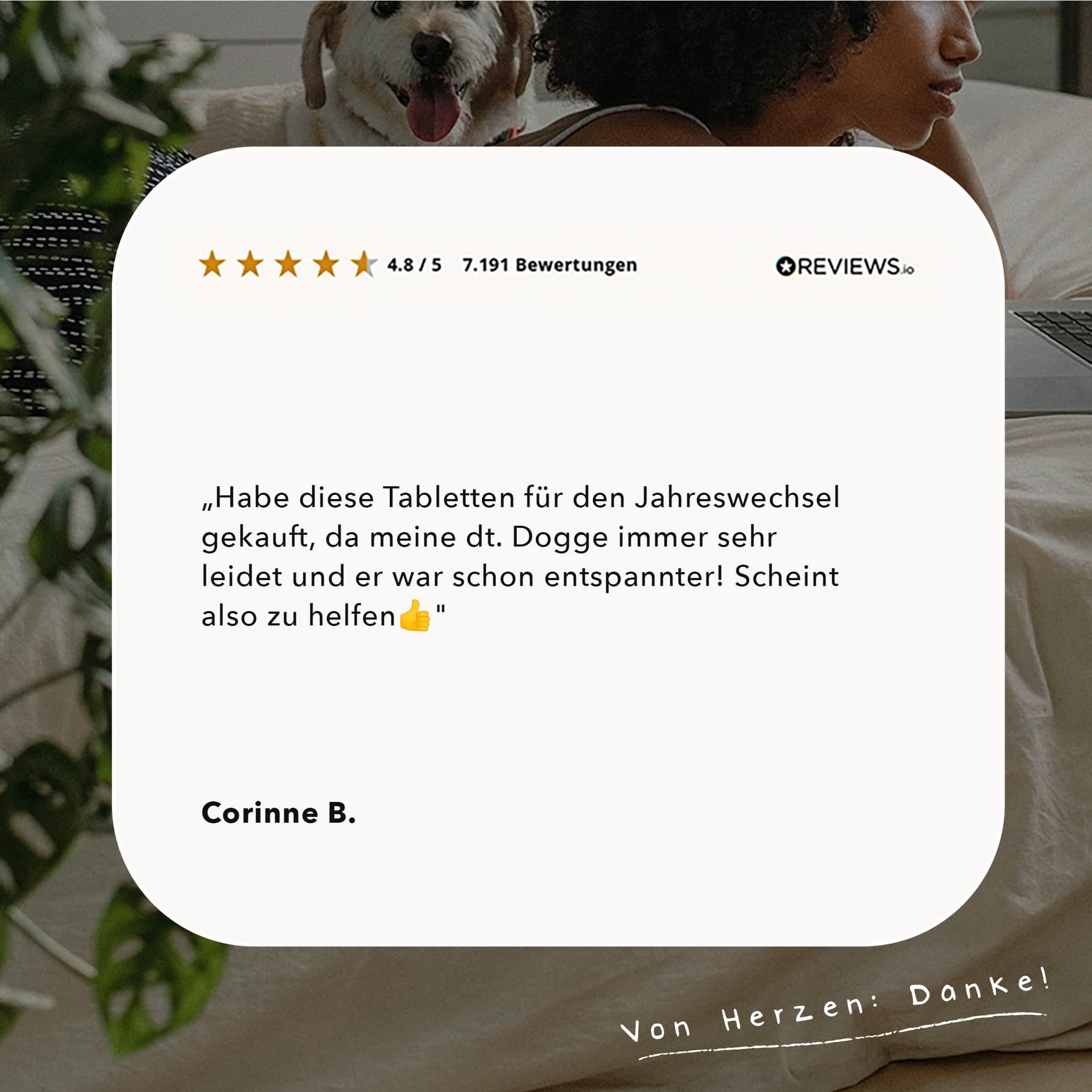Seelenruhe Tabletten für Hunde I Natürliches Beruhigungsmittel bei Unruhe