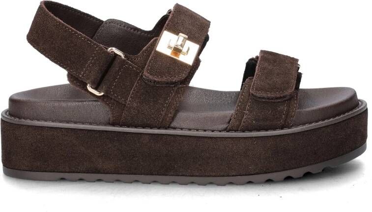 Steve Madden Bigmona suède sandalen donkerbruin