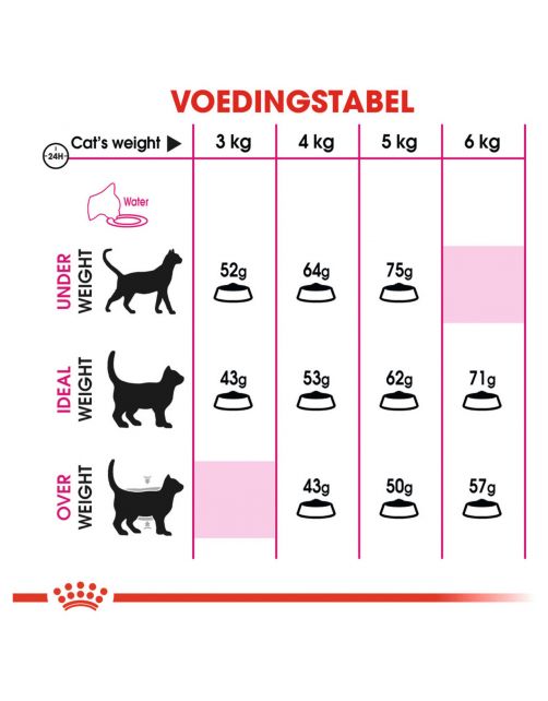 Royal Canin Protein Exigent - Kattenvoer