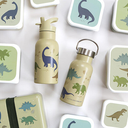 A little lovely company rvs drinkfles dinosaurussen - 350ml