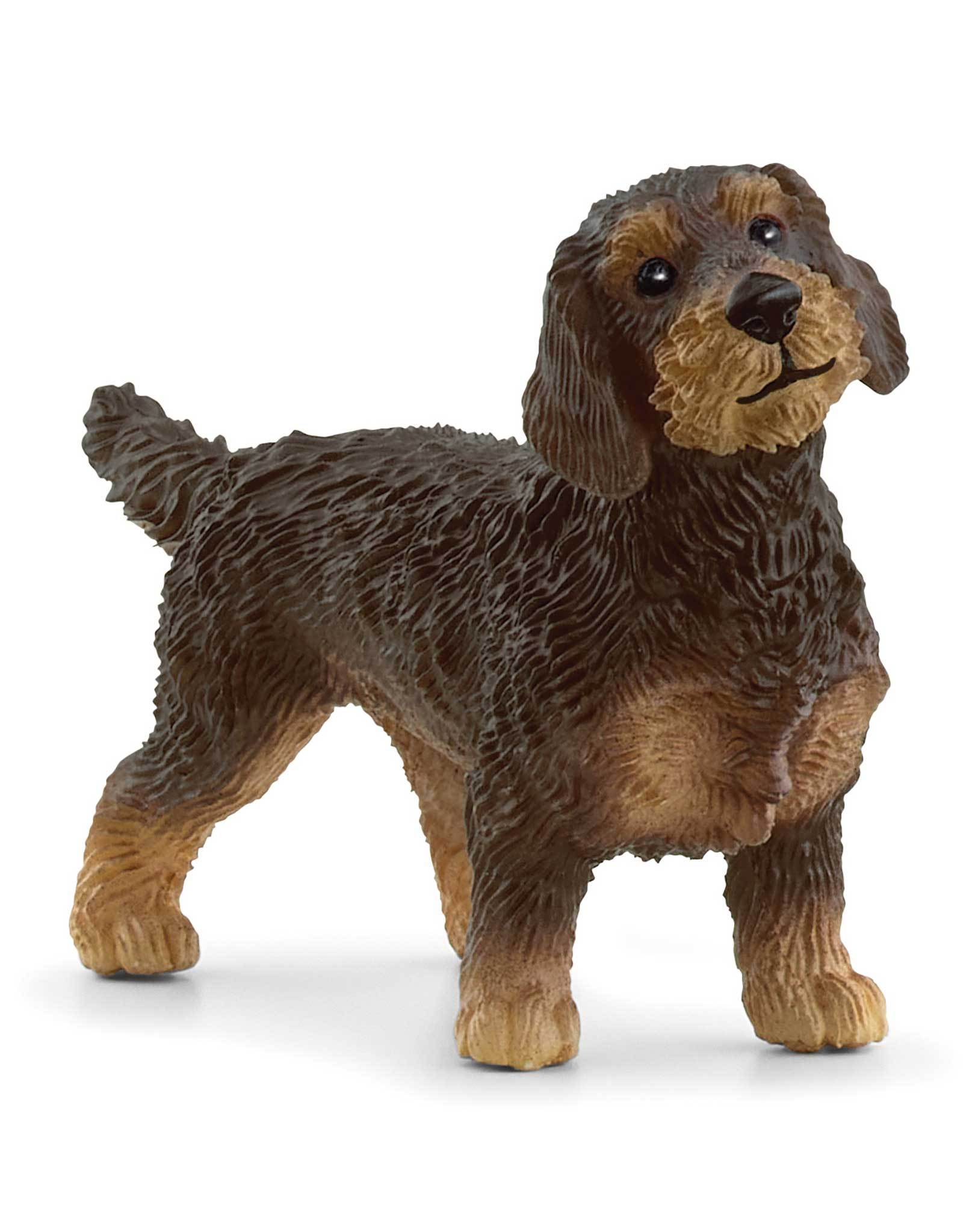 schleich® 13972 Farm World - Rauhaardackel