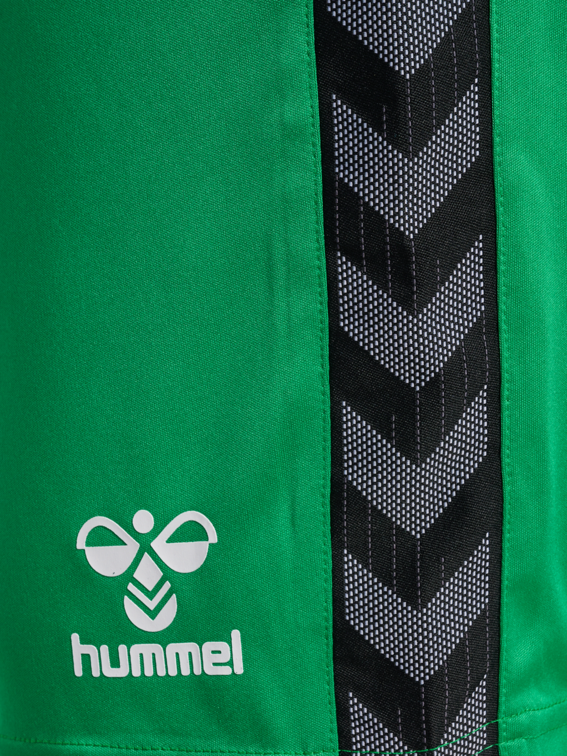 hmlAUTHENTIC PL SHORTS