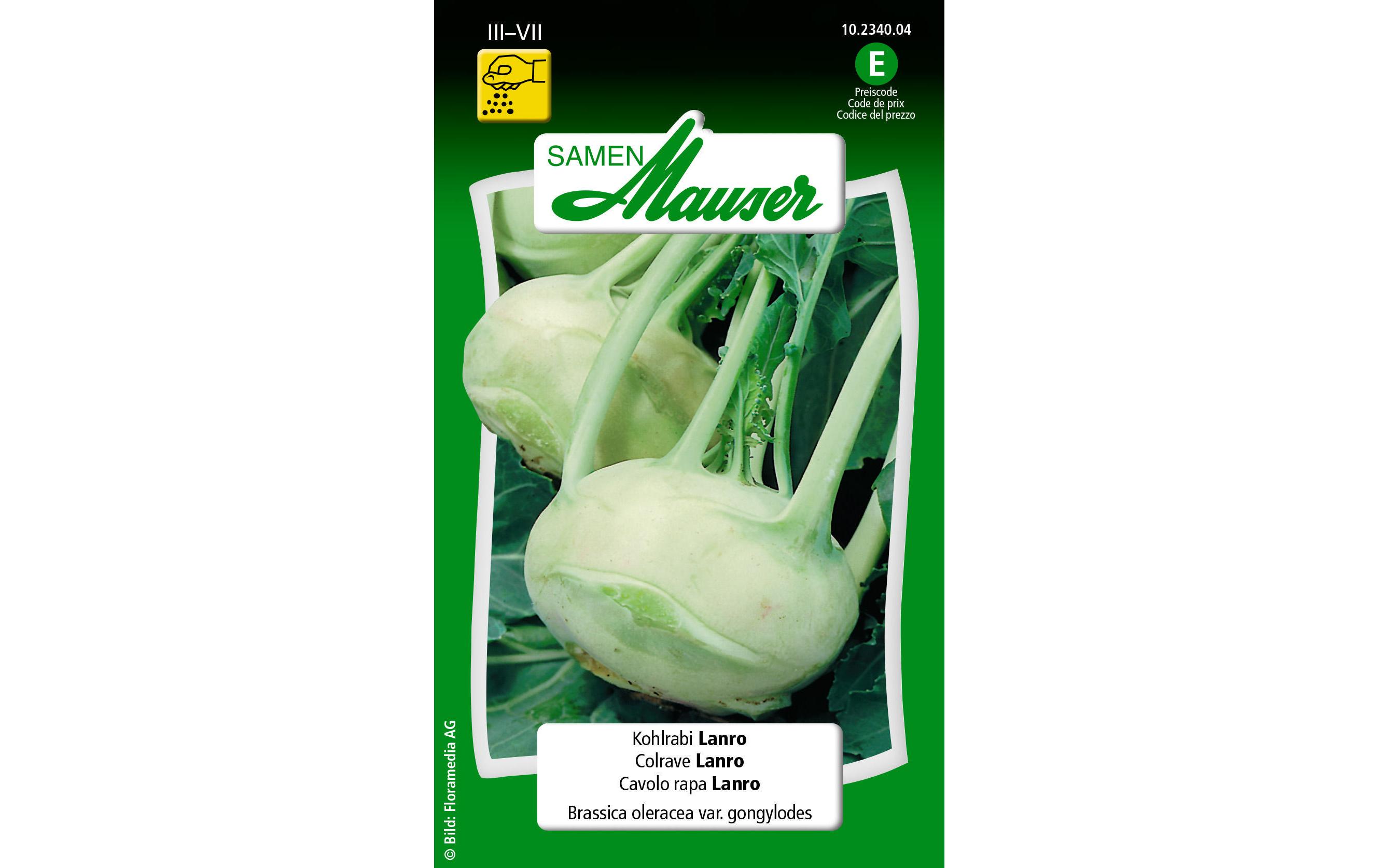 Samen Alte Sorte Kohlrabi LanroGemüsesamen
