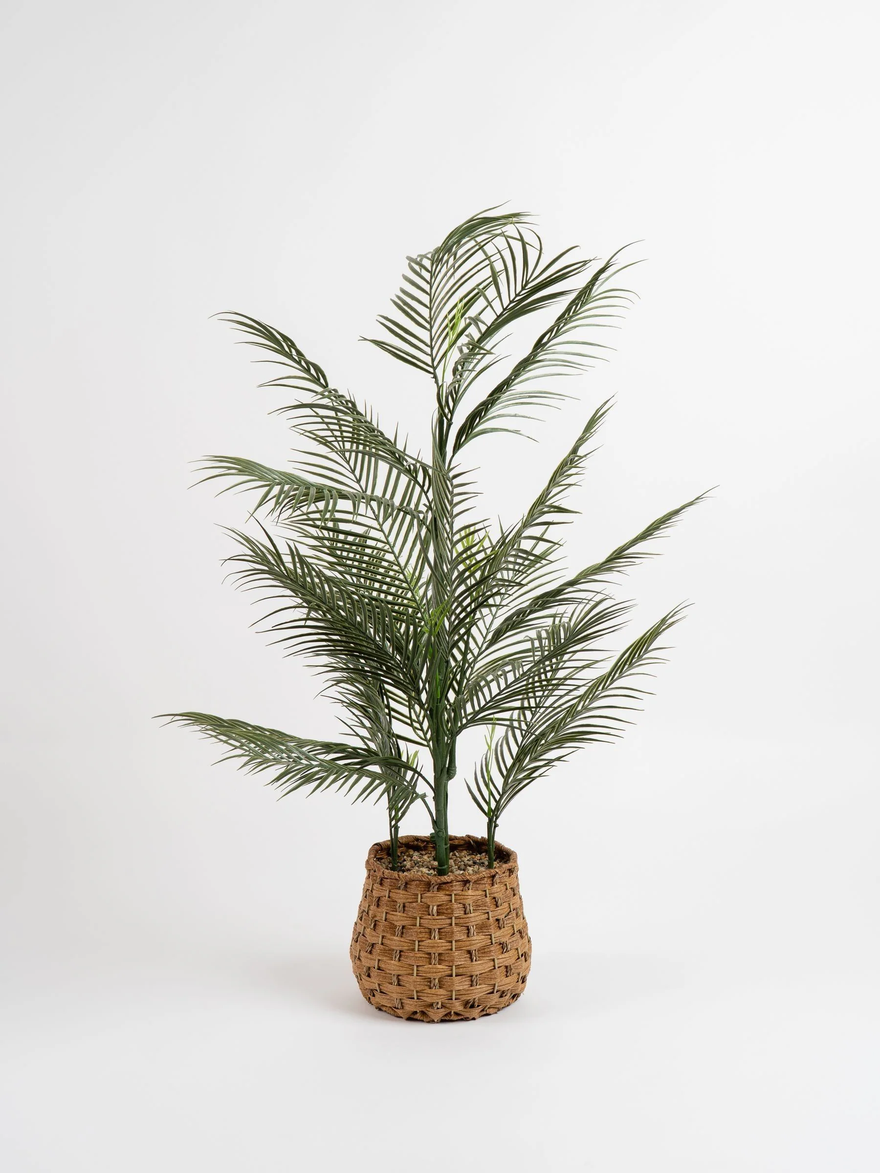 Scottish Everlastings Ltd Artificial Palm Tree in Basket