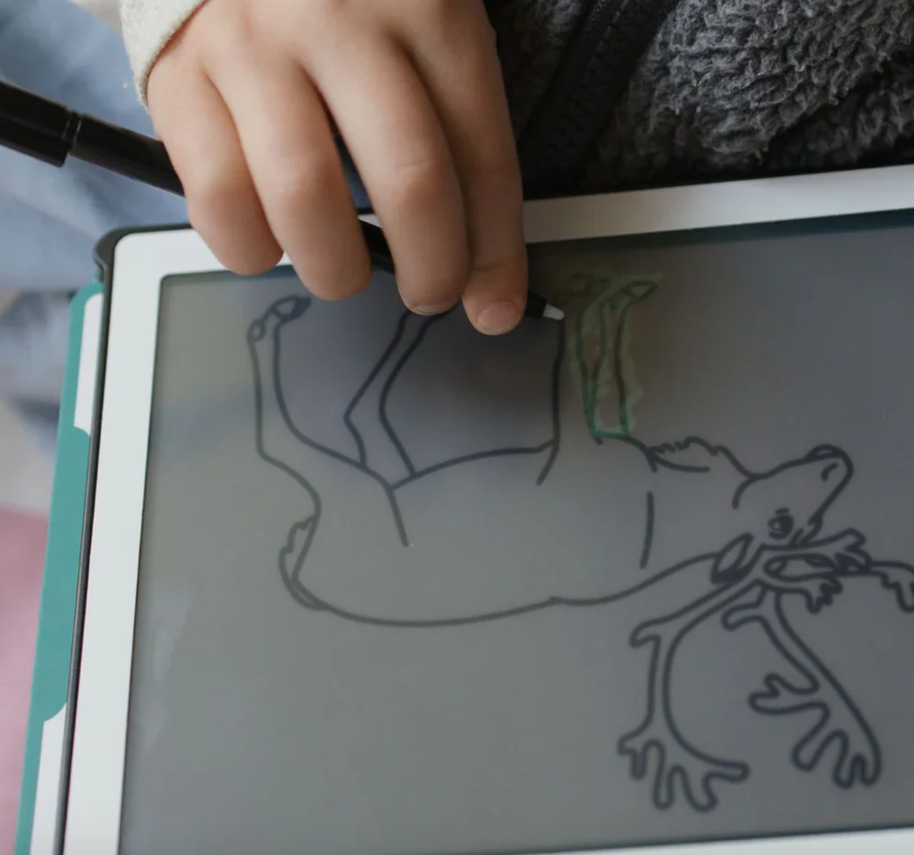 KidyWolf Kidywolf Kidydraw mini Tekenblok Dieren over de hele wereld