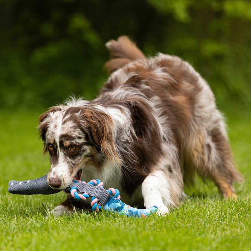 Coolpets Pull Me Crocky Rope | Flamingo | 12342.1