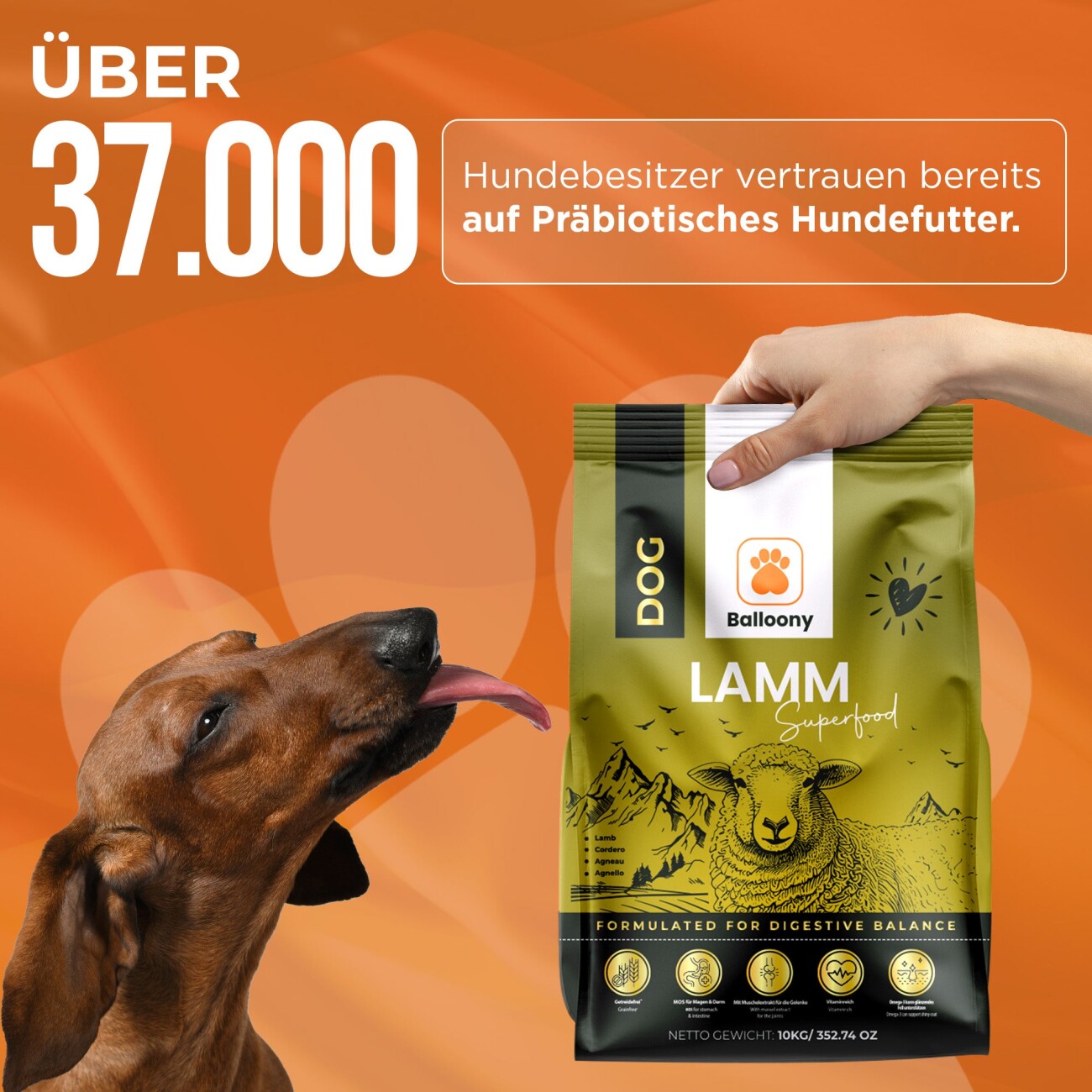 Balloony.pet German Shephy Hundefutter Sensitve Lamm 500 g