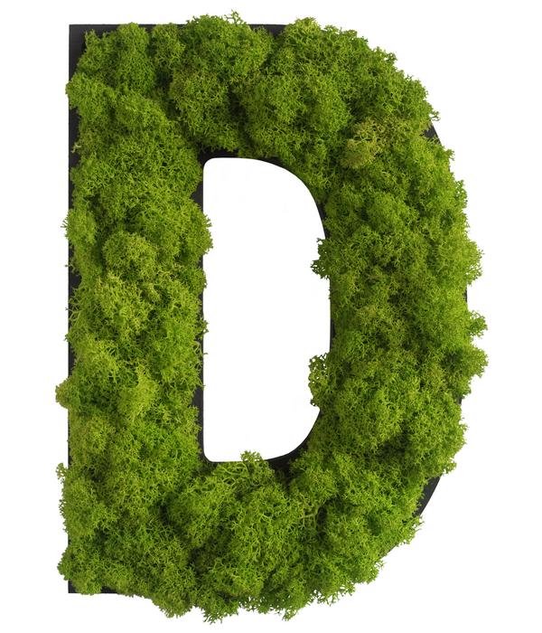 styleGREEN Buchstaben aus Islandmoos, ca. H25