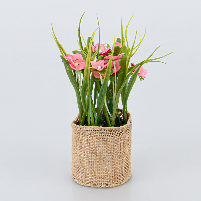 Petites fleurs en pot roses