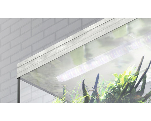 Aquatlantis Splendid 240 aquariumcombinatie inclusief LED-verlichting, filter en steenlookkast