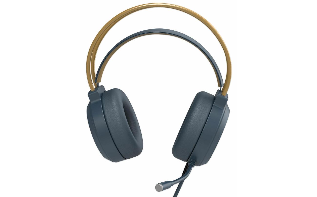 Universele Stereo Gaming Headset Hogwarts Legacy