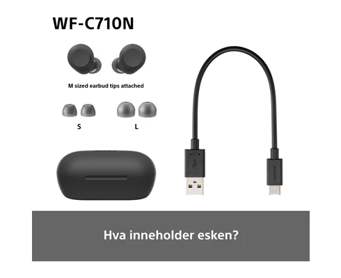 Sony WF-C710 - Black