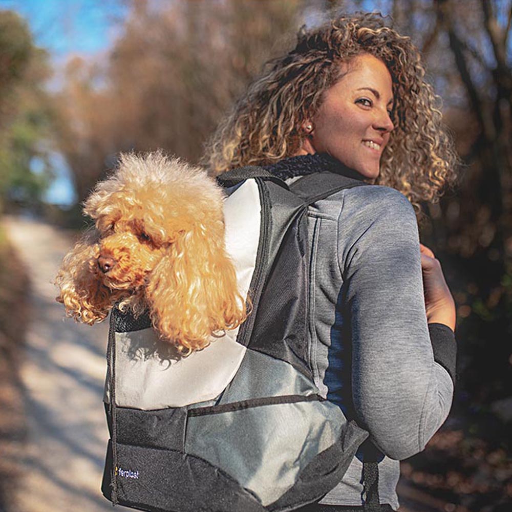 Sac à dos transport pour petits chiens kangoo large, épaules rembourrées, matériau robuste et durable, gris
