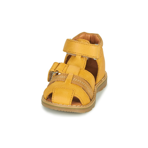 GBB - MITRI - Jaune