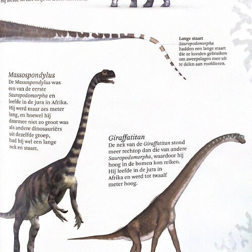 Uitgeverij lannoo het dikke boek van alle bijzondere dino's