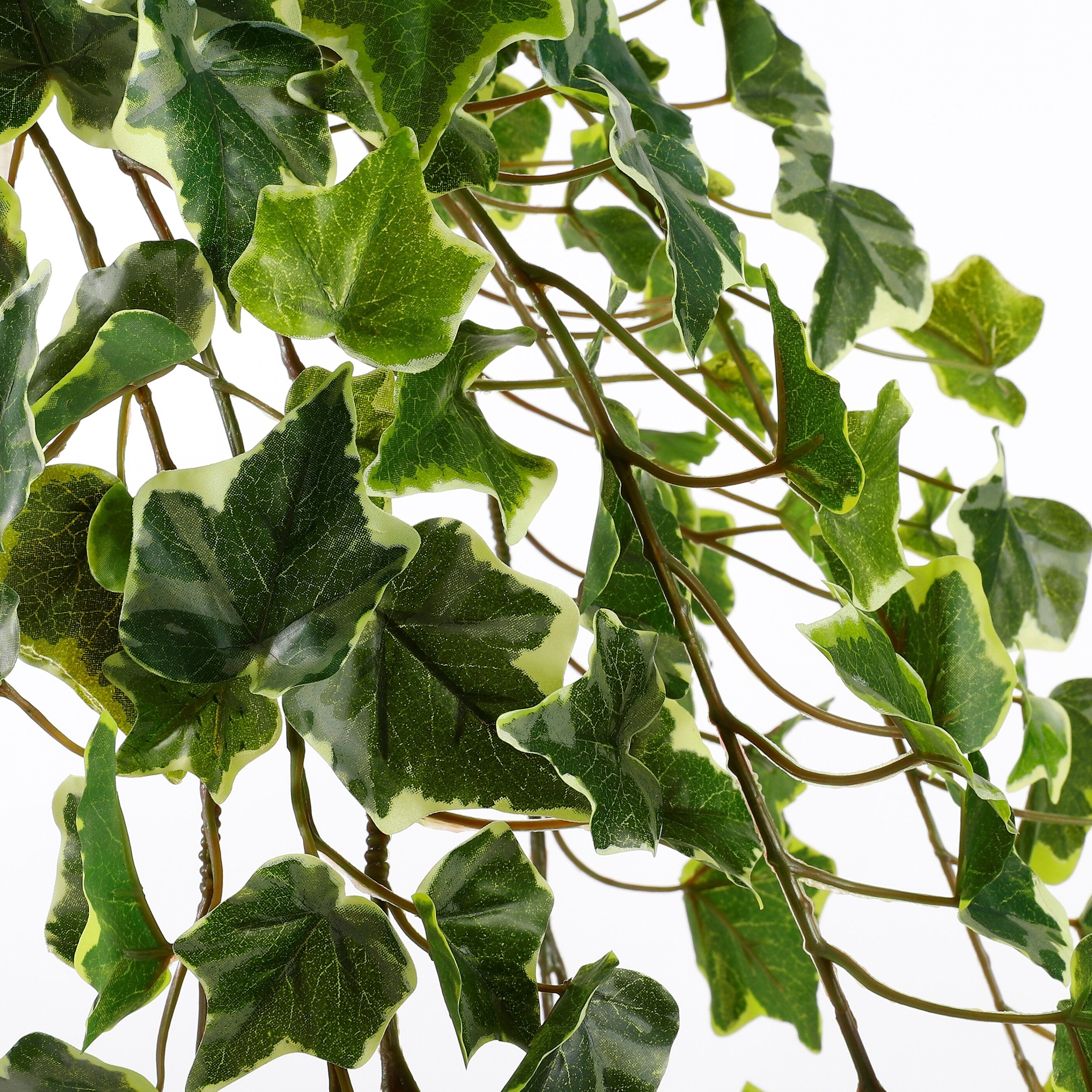 Mica Decorations Hedera hangend groen bont - l129xb30xh20cm