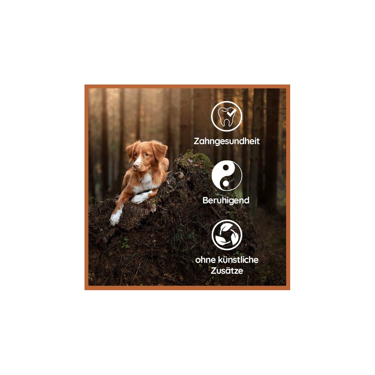 Wildfang ® Welpen Paket 