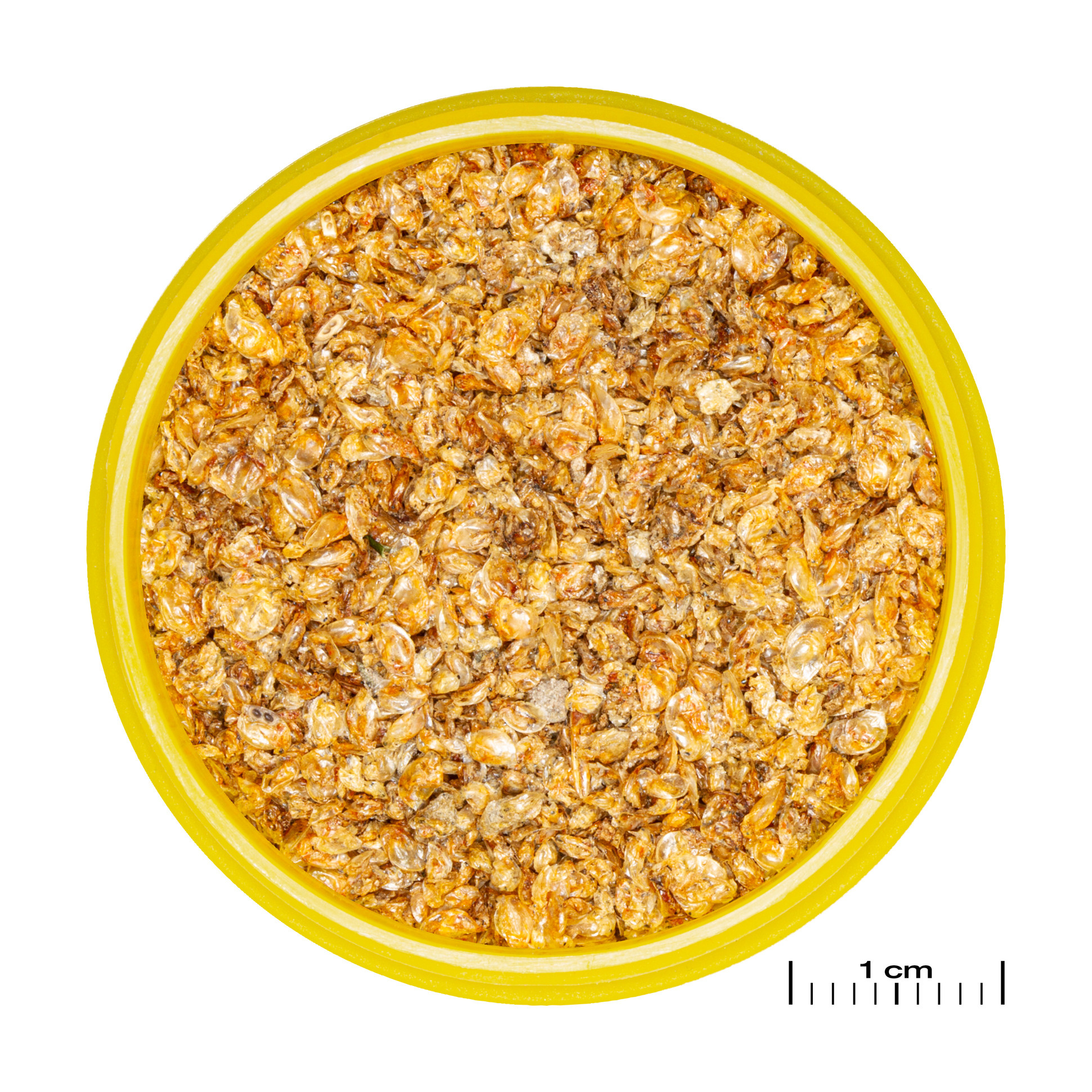 JBL Pronovo Snack Mix 4x100ml | Aquariumvoer