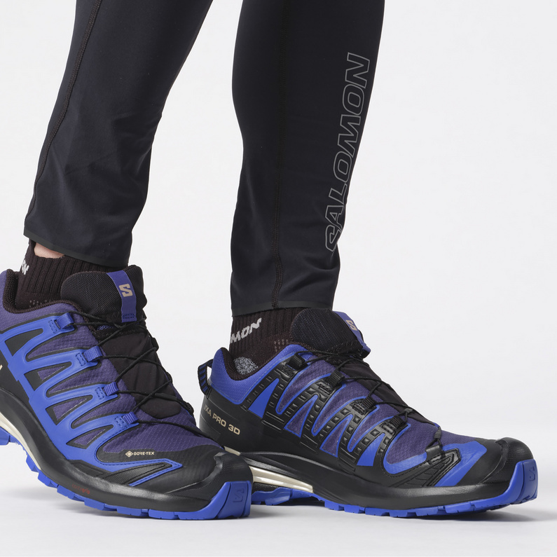 Salomon Herren Xa Pro 3D V9 GTX Schuhe