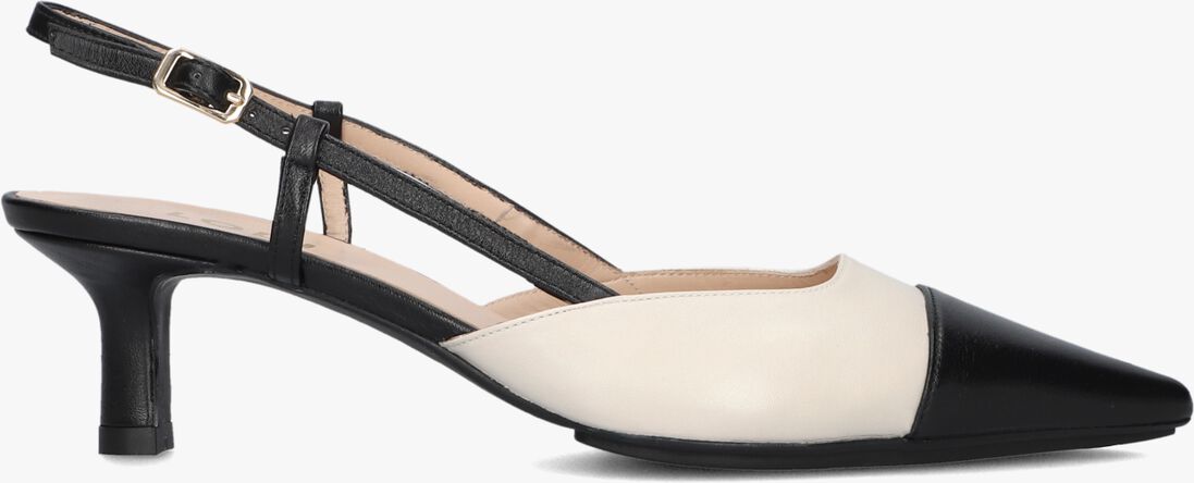 LODI zwarte lodi pumps chames