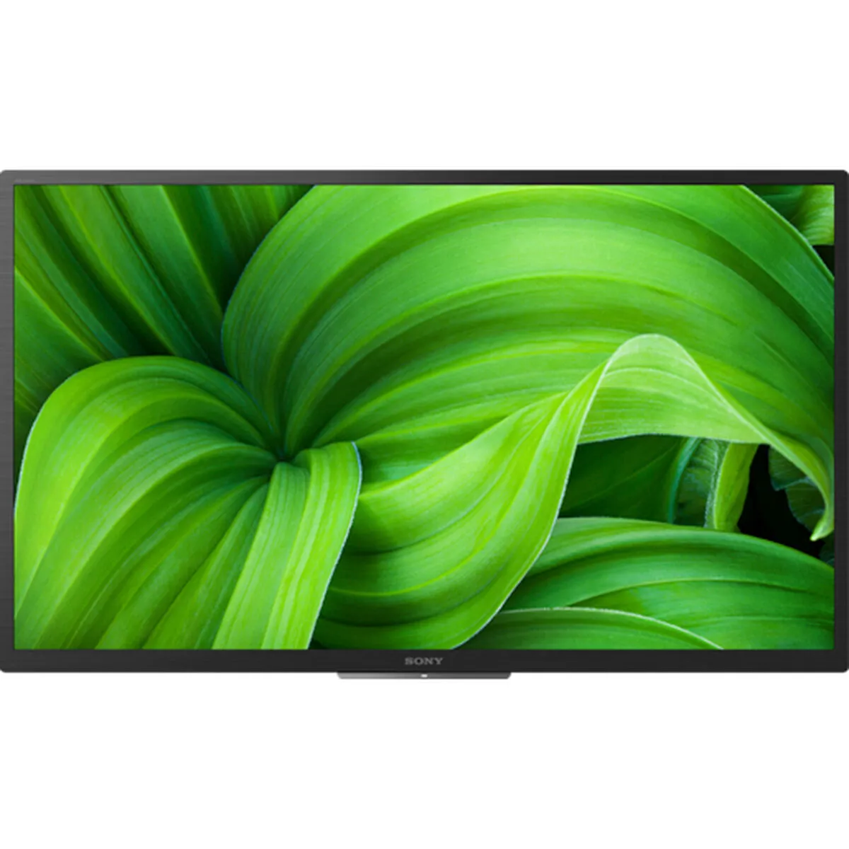 Sony KD32W804P1AEP