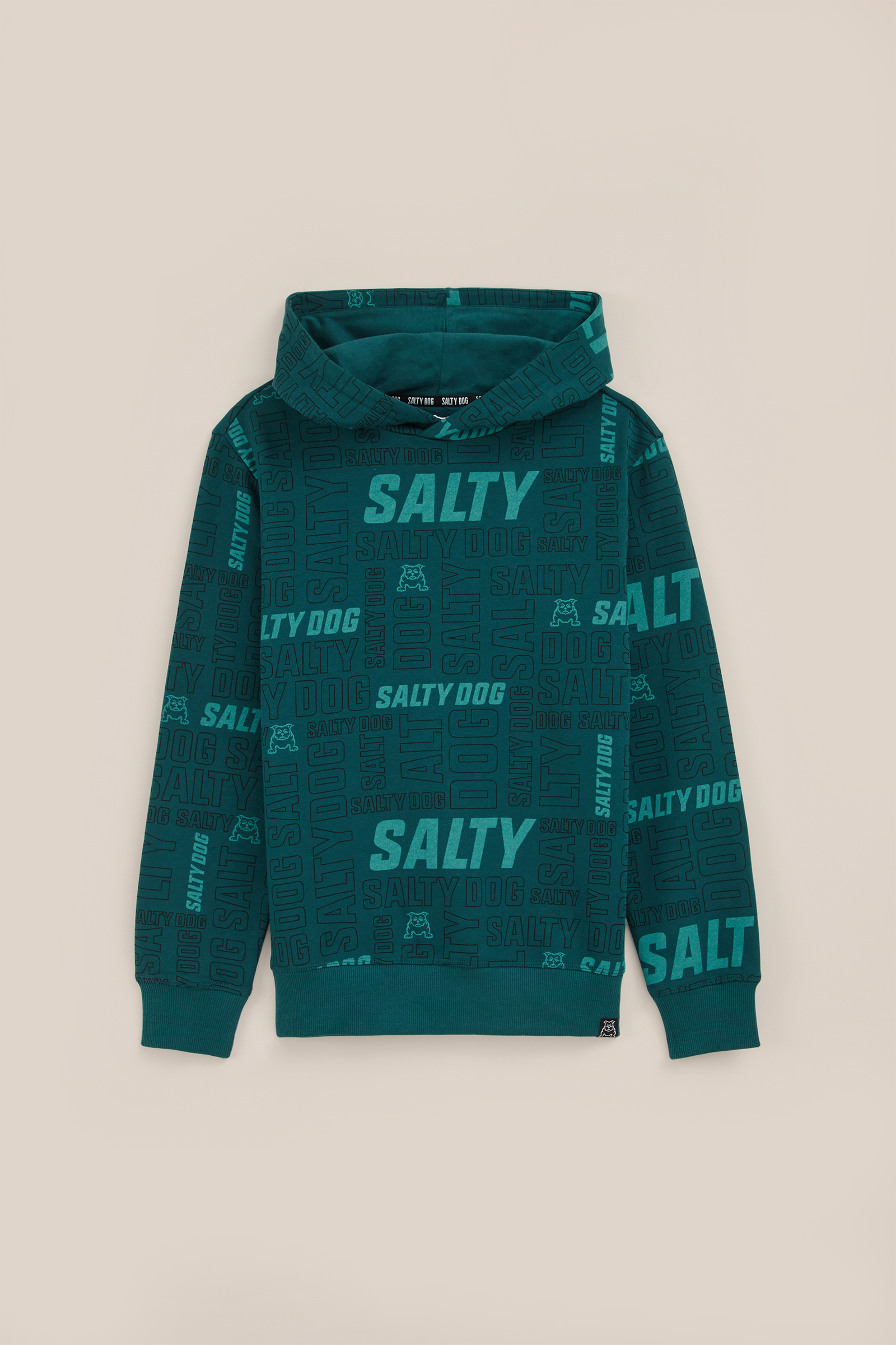 Jongens hoodie met opdruk Salty Dog Petrol