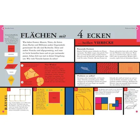DK Das ist alles Mathe! Verrücktes Wissen aus der Welt der Zahlen|